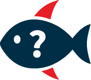 Flounder